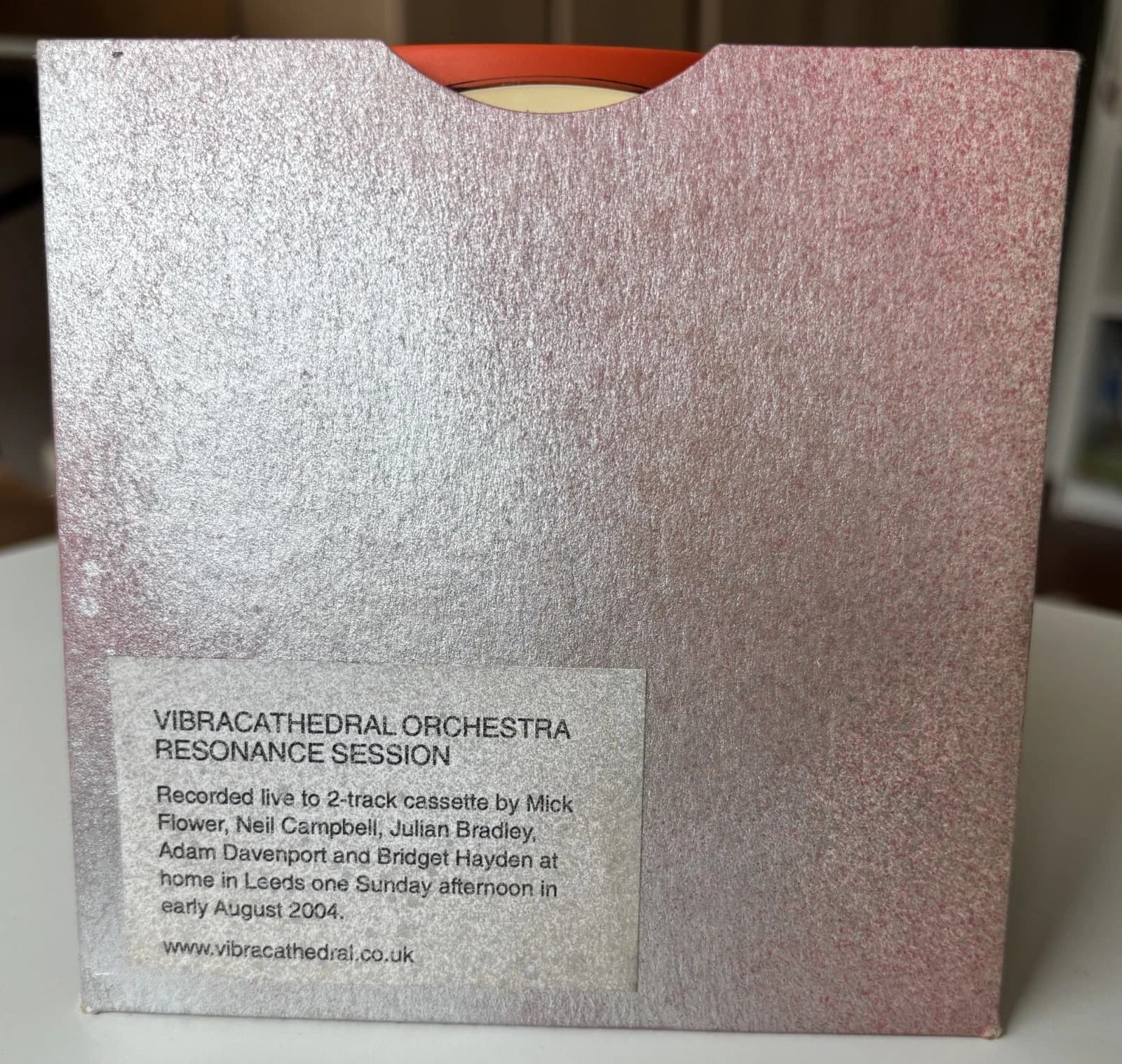 Vibracathedral Orchestra - Image 1